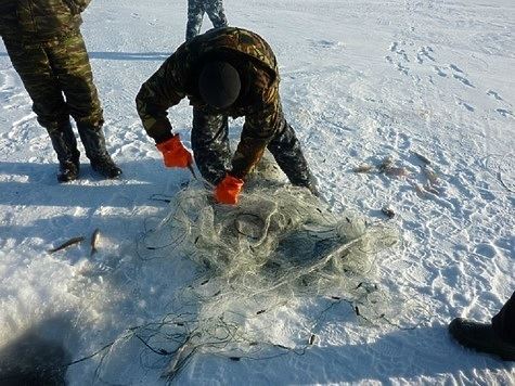 Из озер Карелии извлекают браконьерские сети